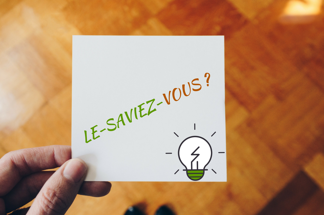 Télétravail : bien choisir son logement