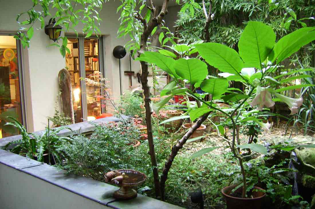 habitation saine en rez-de-chaussée : Paris et Lyon