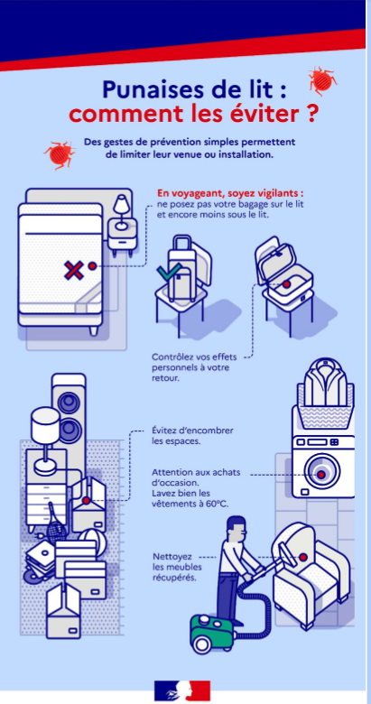 comment éviter les punaises de lit
